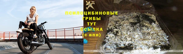 синтетический гашиш Алексеевка