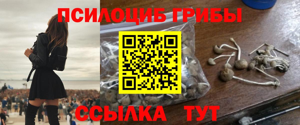 Псилоцибиновые грибы Psilocybine cubensis  Псилоцибиновые грибы GOLDEN TEACHER  Гуково  Вход с VPN 